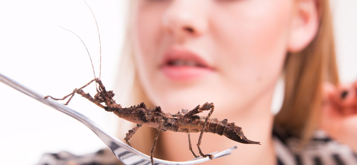 “European Commission Dictates Citizens Eat Bugs.”